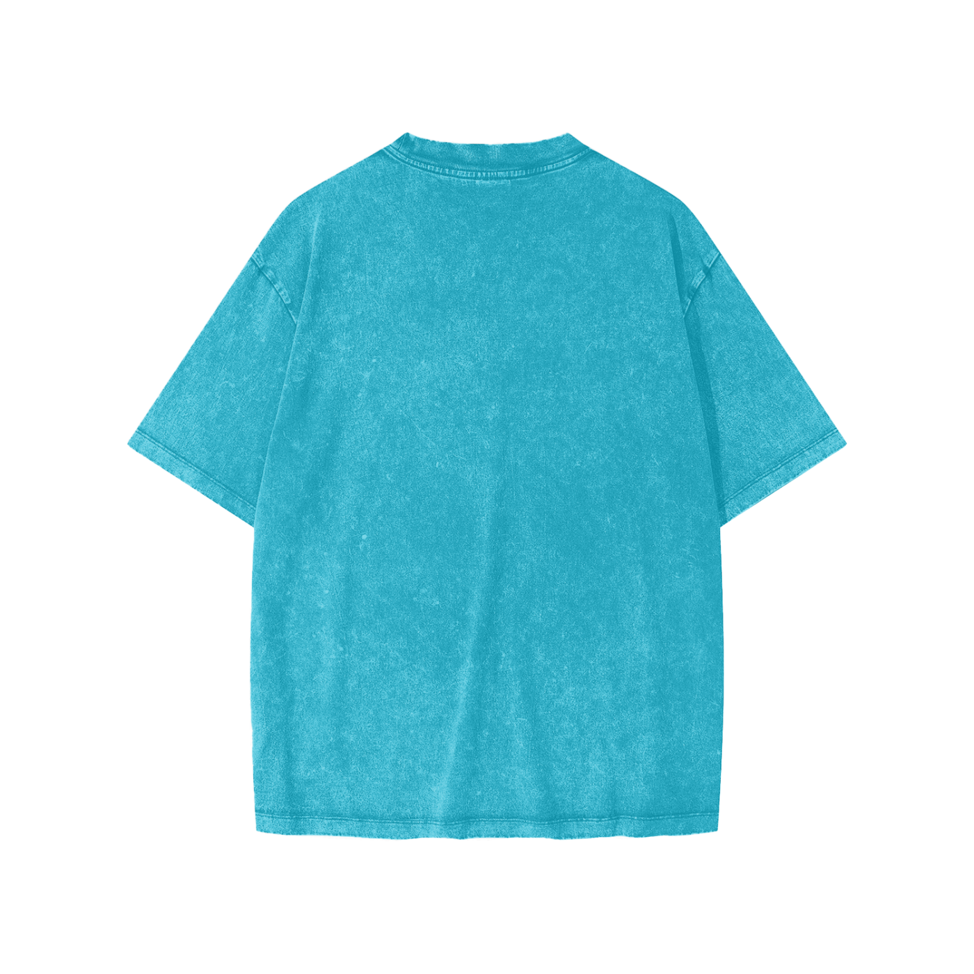 “WC Snow Washed” T-Shirt